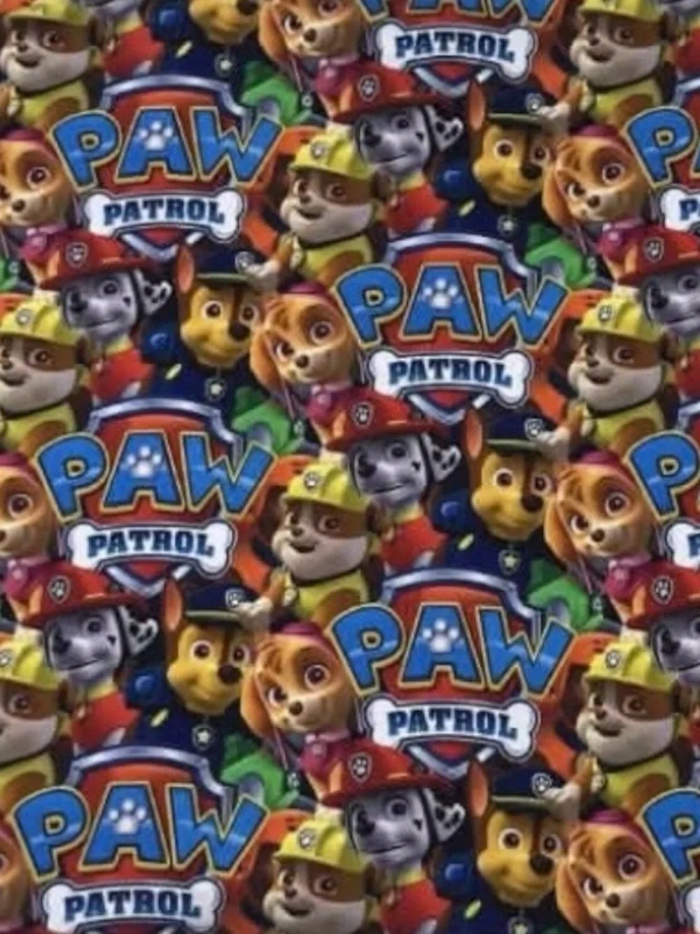 New Boutique Kids Unisex Bamboo Paw Patrol Blanket with a Minky Fleece Back Soft